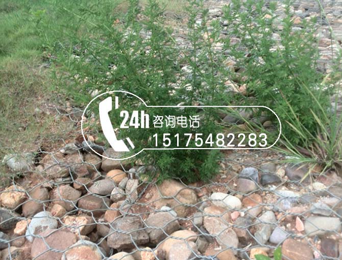 生態(tài)格網(wǎng)植被防護(hù)