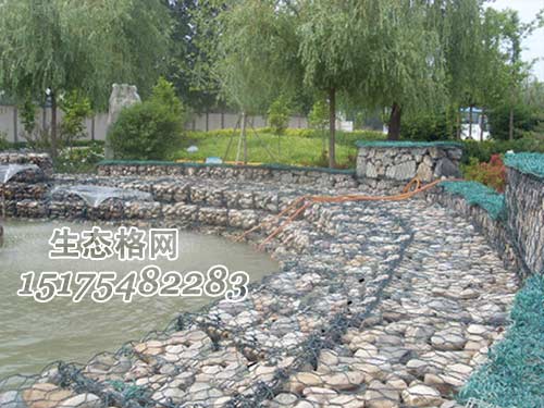 生態格網