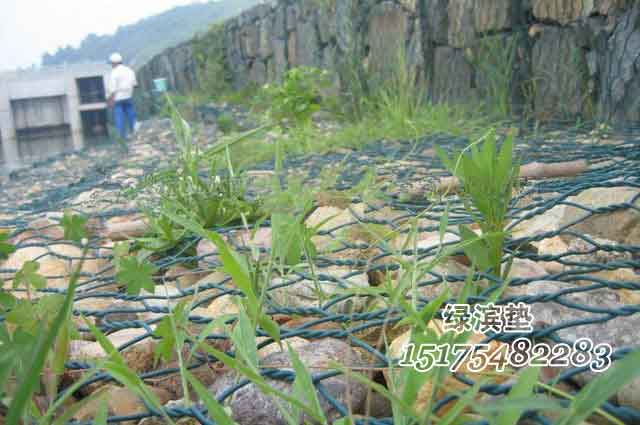 綠濱墊護坡